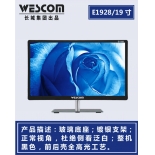 长城 E1928 19寸 IPS屏 LED宽屏液晶显示器